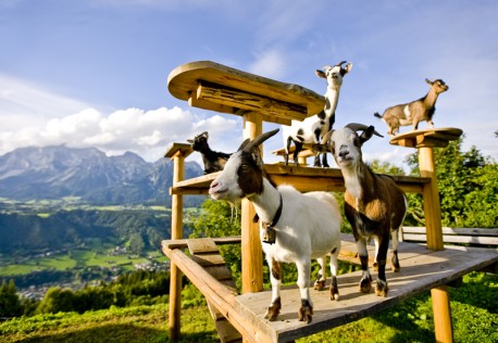 Sommerurlaub in Ramsau