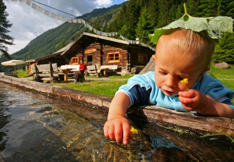 Almgebiet in der Ramsau, Österreich