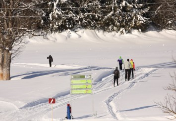 Langlaufen in Ramsau